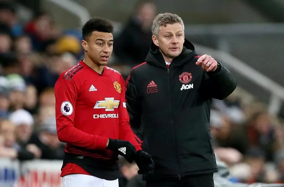 演变为高强 演变为高强