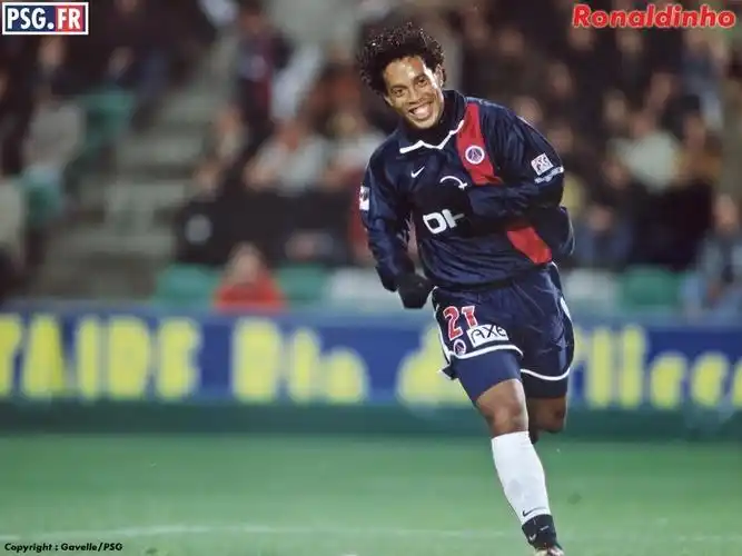 不仅填补了 不仅填补了